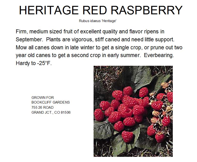 Raspberry, Heritage Red
