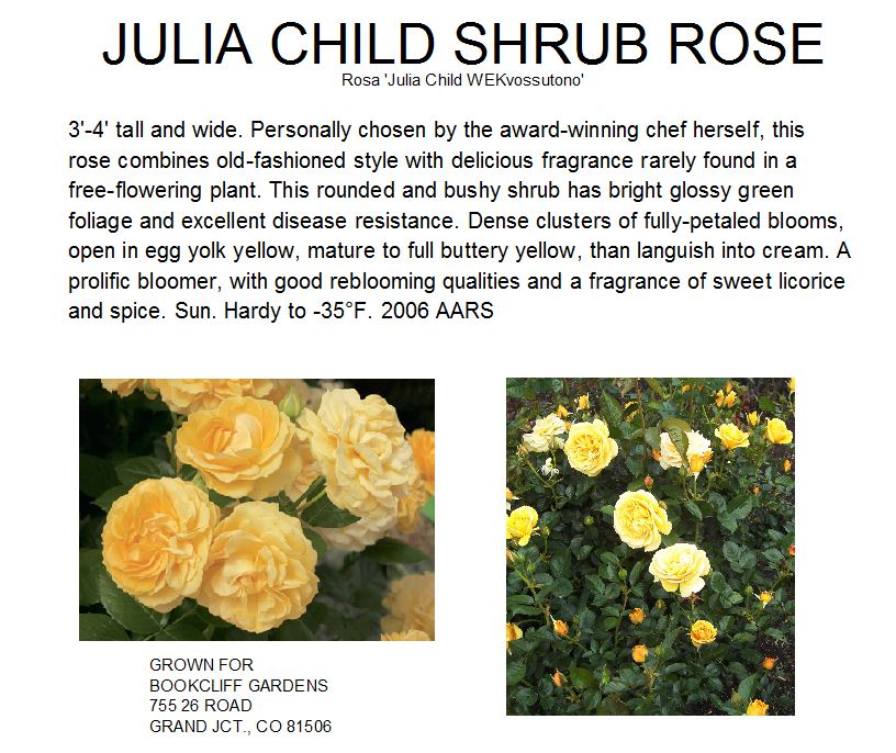 Rose, Julia Child