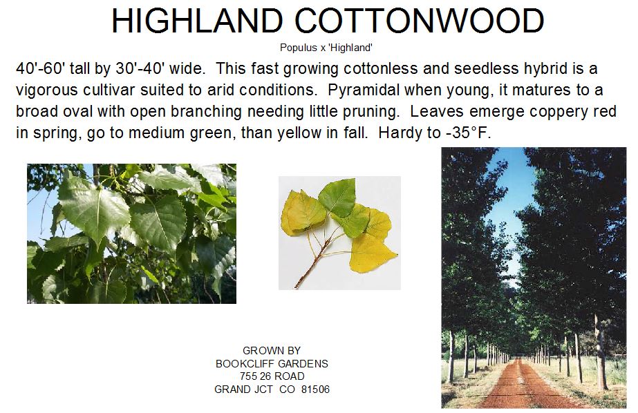 Cottonwood, Siouxland